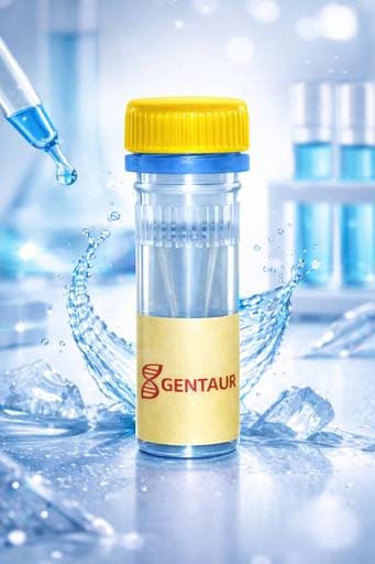 [SK1636] Malate dehydrogenase