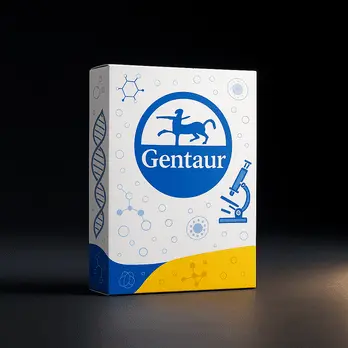 [FM-SR-38501] Zirconium Dioxide Nanopowder