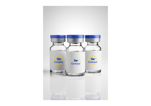 [GEN-HEAL-10V] Seamless Cloning by HEAL